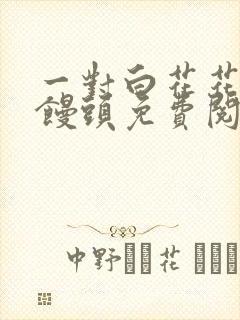 一对白花花的大馒头免费阅读