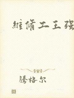 维修工王强张婷