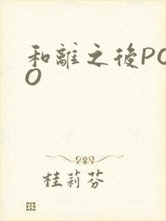和离之后POPO封面