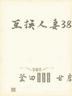互换人妻38部封面