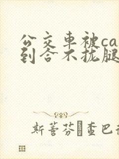 公交车被cao到合不拢腿视频封面