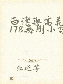 白洁与高义1～178无删小说封面