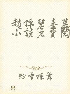 赵锦儿秦慕修的小说免费阅读全文