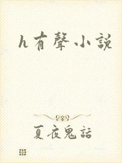 h有声小说封面
