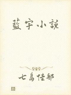 蓝宇小说