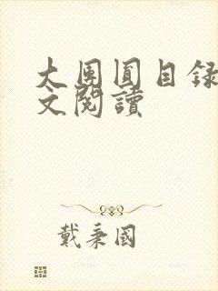 大团圆目录及全文阅读封面