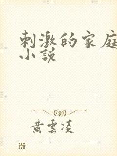 刺激的家庭乱仑小说