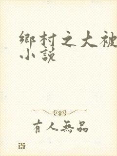 乡村之大被同眠小说封面