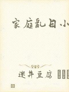 家庭乱日小说