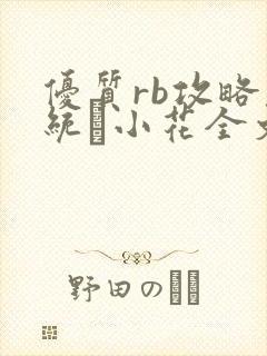 优质rb攻略系统寀小花全文免费阅读