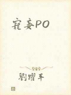 宠妾PO封面