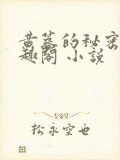 黄蓉的秘密 笔趣阁 小说封面
