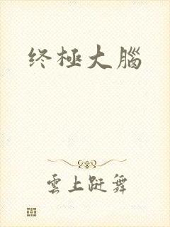终极大脑