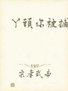 丫头你被捕了
