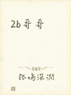 2b哥哥