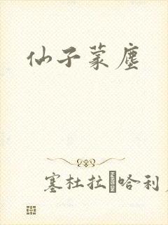 仙子蒙尘封面