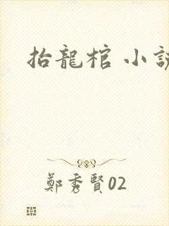 抬龙棺 小说