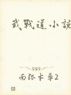 武战道小说