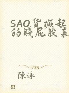 SAO货撅起你的贱屁股来封面