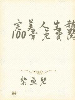 完美人生赵雅玉100章免费阅读封面