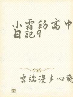 小霜的高中成长日记9封面