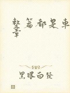 整篇都是车的文章