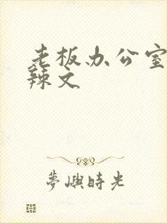 老板办公室系列辣文封面