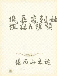 机长脔到她哭h粗话h视频