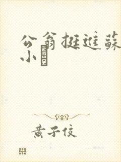 公翁挺进苏玥的小泬