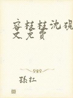 容枝枝沈砚书全文免费
