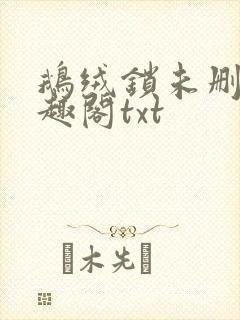 鹅绒锁未删除笔趣阁txt