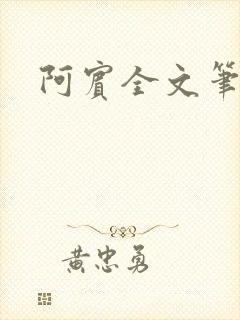 阿宾全文笔趣阁封面