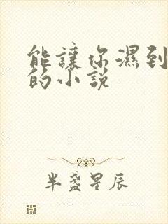 能让你湿到不行的小说