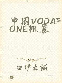 中国VODAFONE粗暴