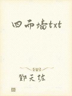 四面墙txt