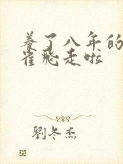 养了八年的金丝雀飞走啦
