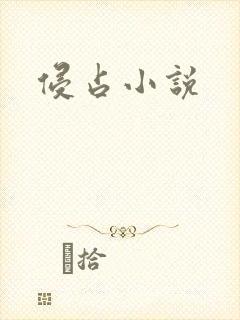 侵占小说