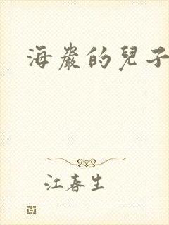 海岩的儿子封面