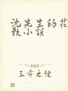 沈先生的花式管教小说封面