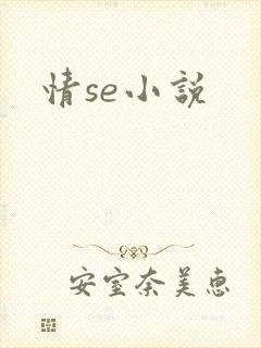 情se小说