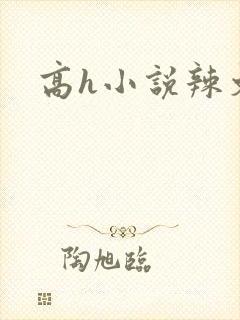 高h小说辣文