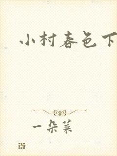 小村春色下载