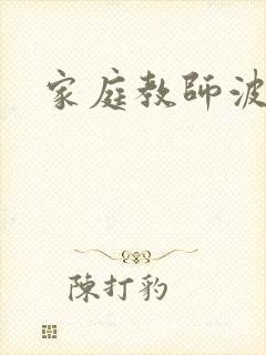 家庭教师波封面