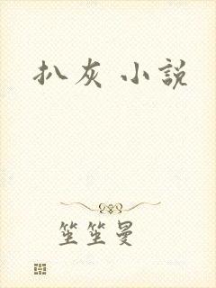 扒灰 小说封面