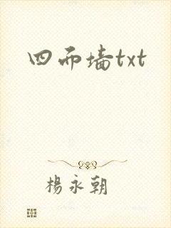四面墙txt