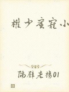 权少蜜宠小娇妻