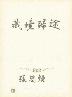 藏境归途