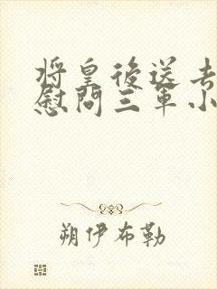 将皇后送去军营慰问三军小说封面
