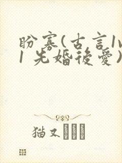 盼寡(古言1v1 先婚后爱)荔枝好多封面