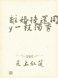 离婚后还同居by一枝独秀